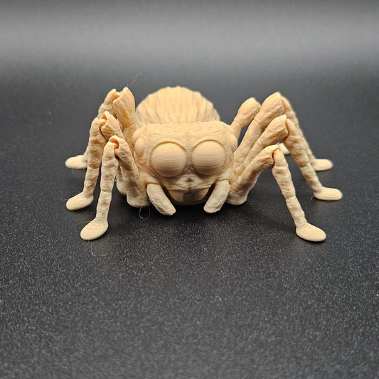 Mini Spider