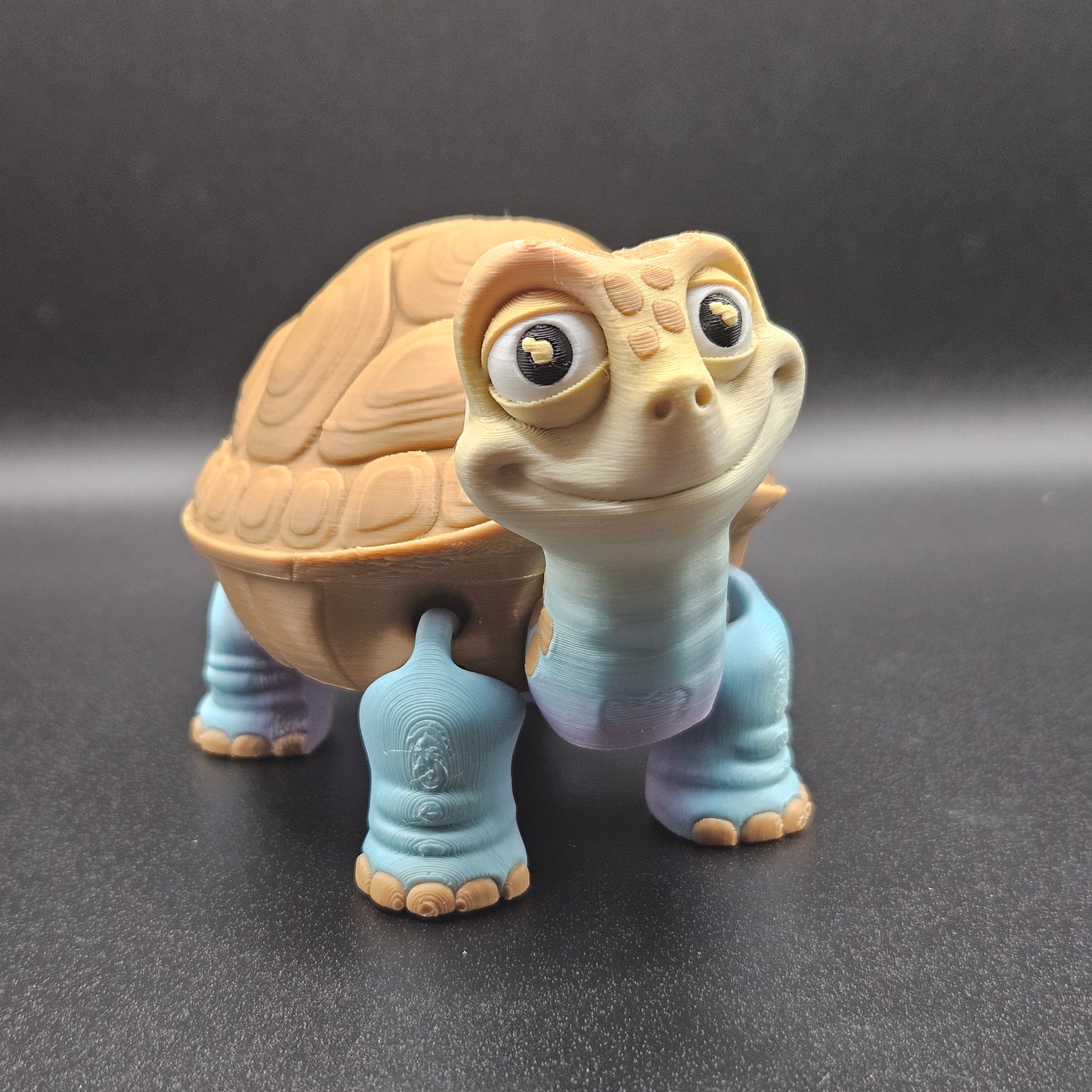 Tortoise