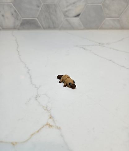 Mini - Platapus