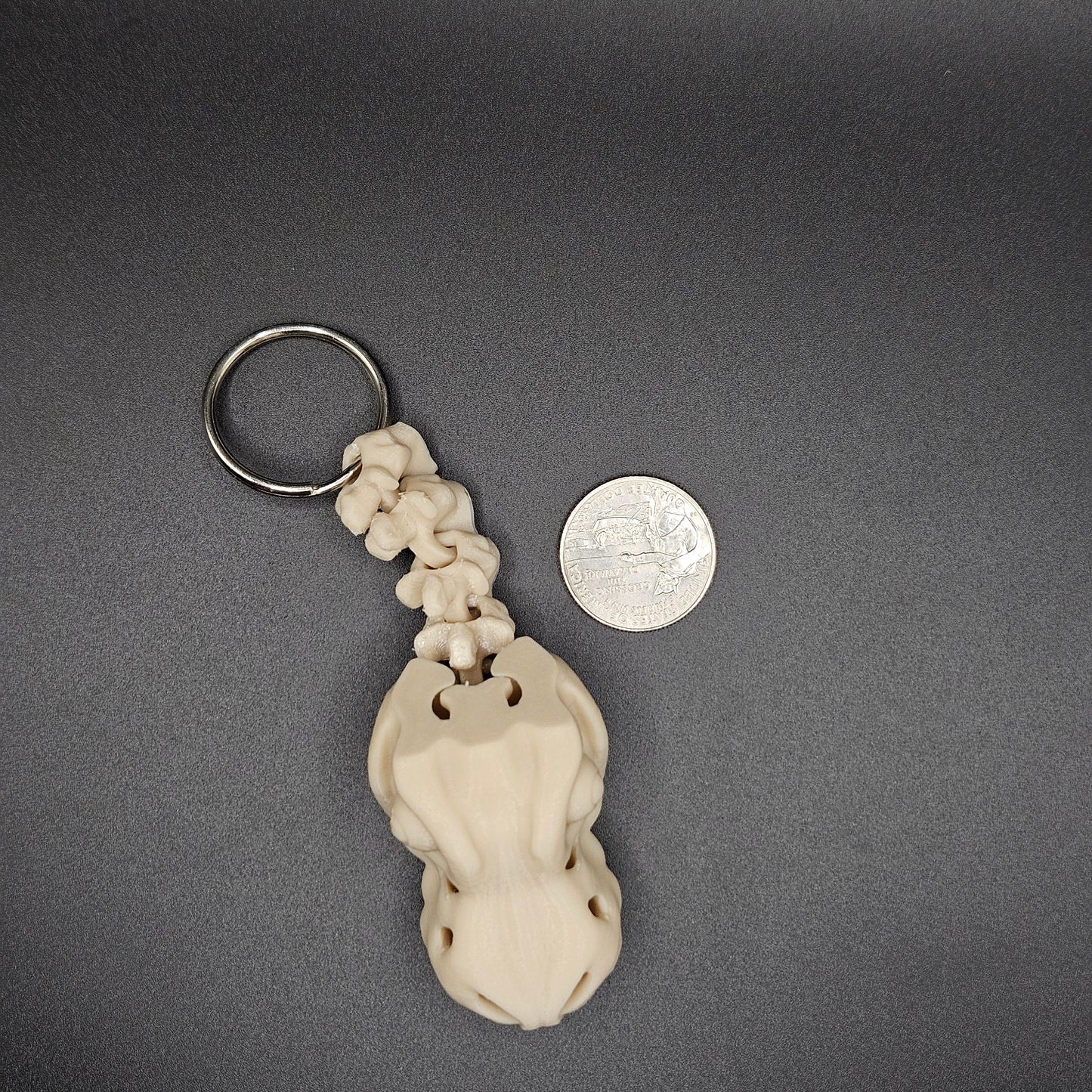 T-Rex Skeleton Keychain